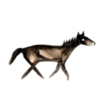 horse